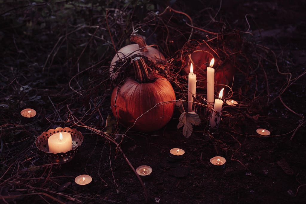 (c) freestocks-org-kVv8AvoKJ7g-unsplash